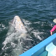 IMG 0001 2 (306)